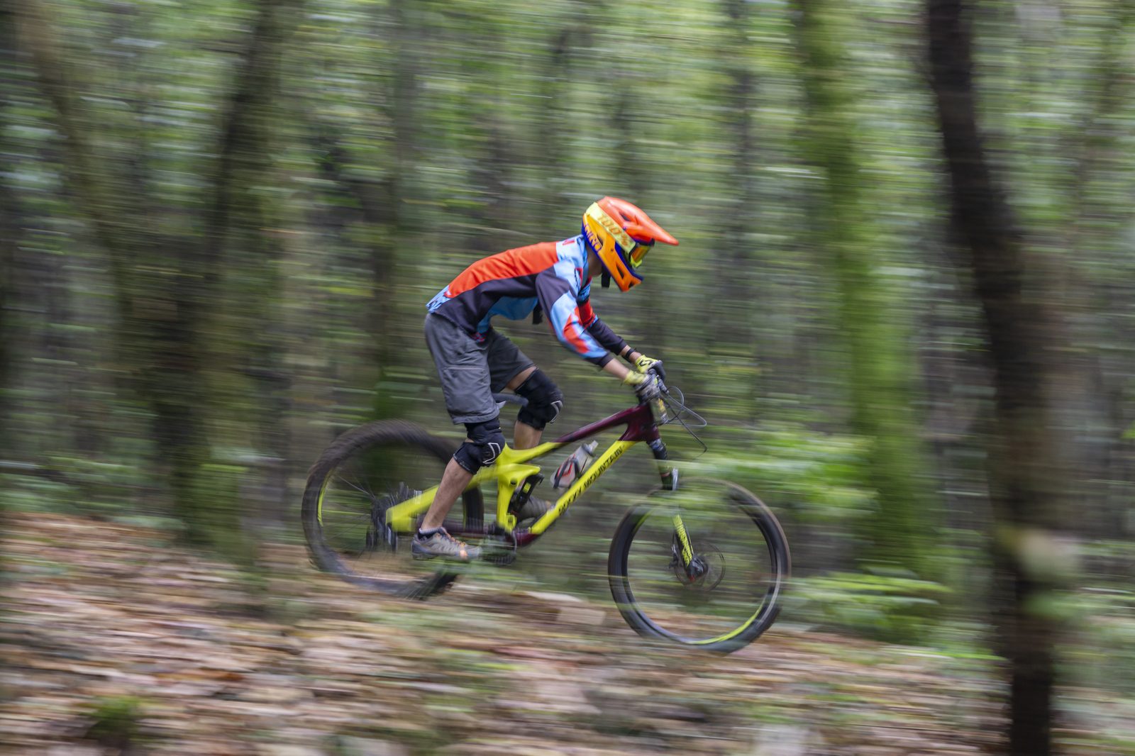 Mountain biker jumping through a forest trail